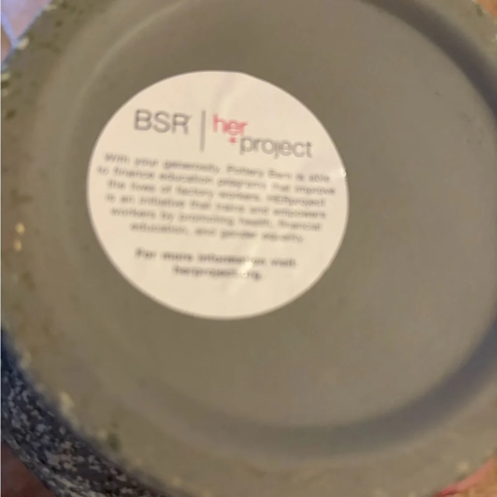 Pottery Barn Atlantis Faux Succulent in Bowl, Like New